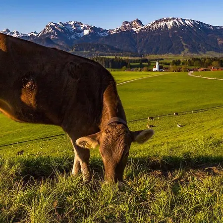 Christine Ξενοδοχείο