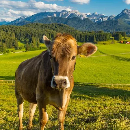 Christine Ξενοδοχείο Eisenberg (Bavaria)