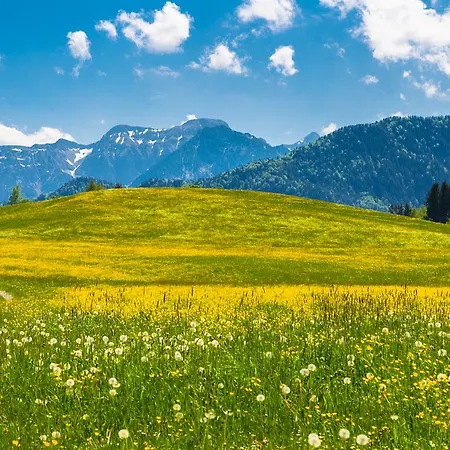 Ξενοδοχείο Christine