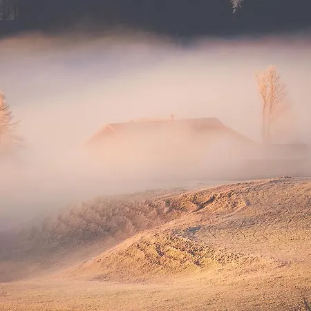 Christine アイゼンベルク