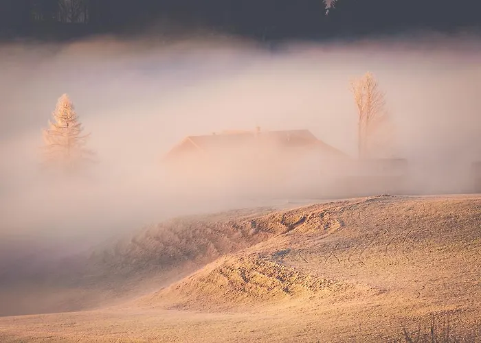 Christine 아이젠베르크